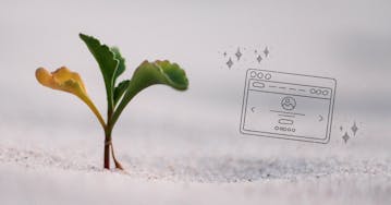 The complete guide to growing your web development agency