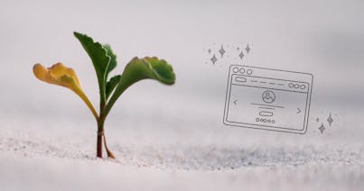 The complete guide to growing your web development agency