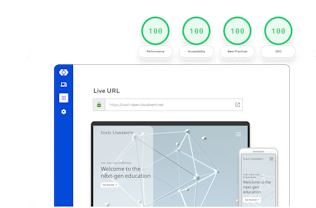 Diagram of a website with perfect lighthouse performance scores
