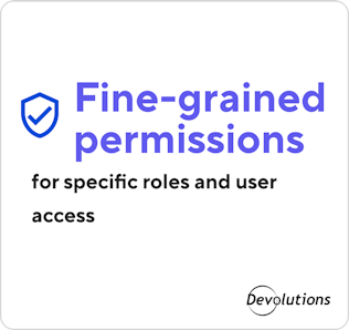 Fine-grained permissions for specific roles and user access