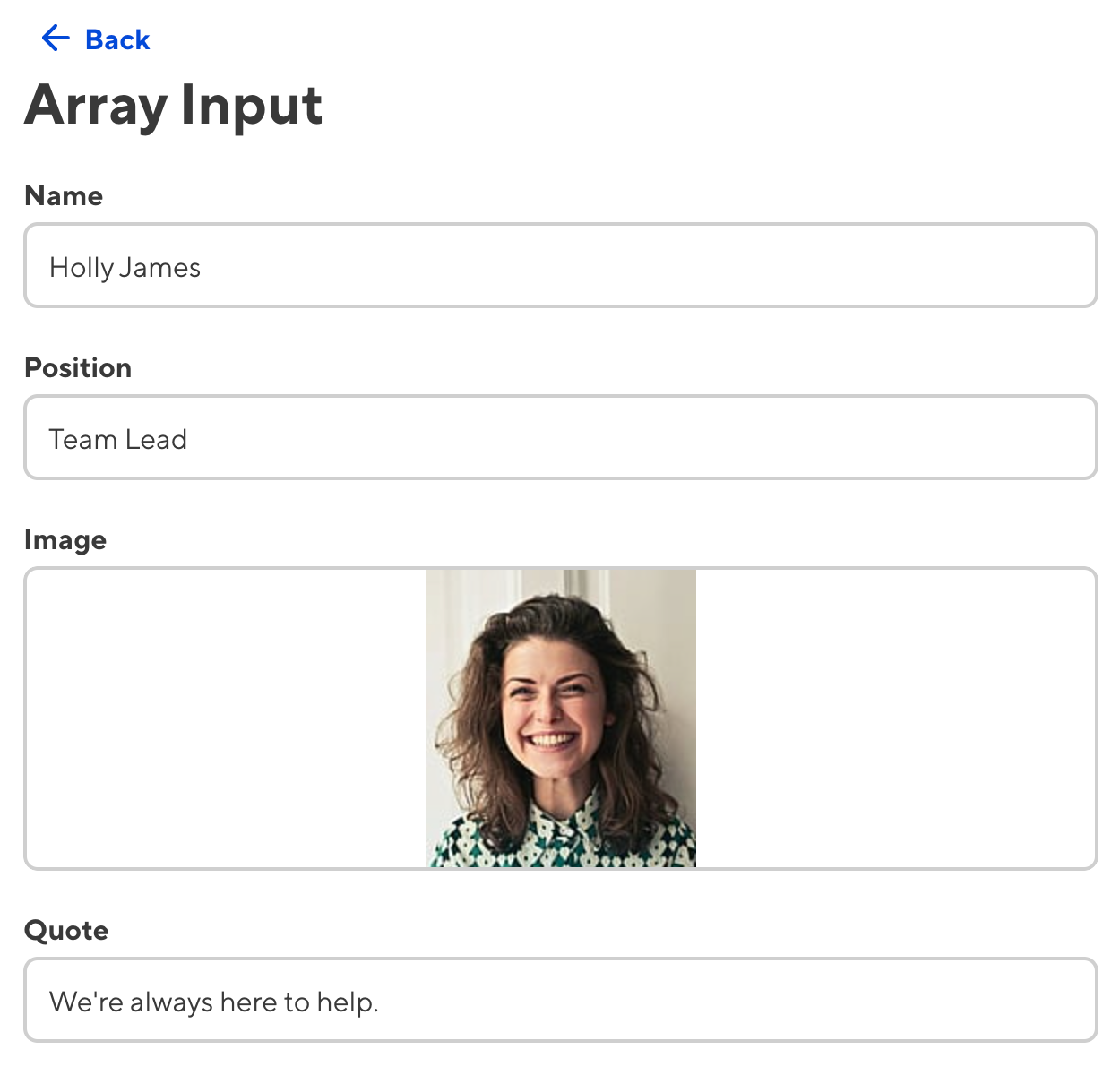 A screenshot of an open entry in an Array input in the Data Editor, showing the nested keys within this Object.