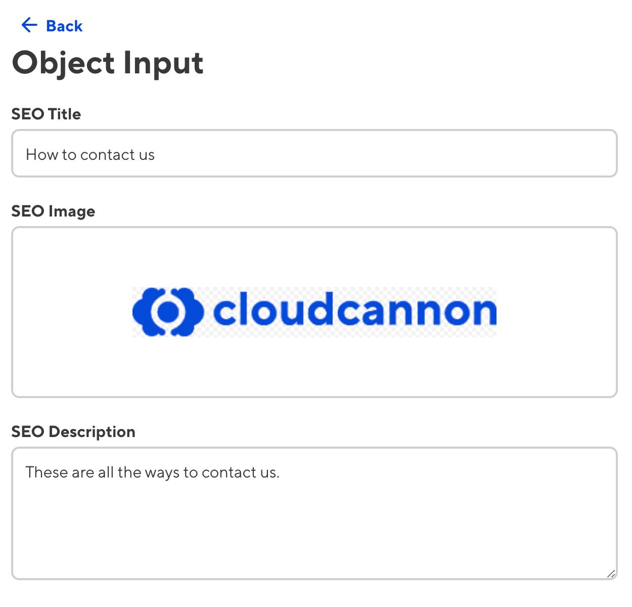 A screenshot of the Object input in the Data Editor, showing the nested inputs within the Object.