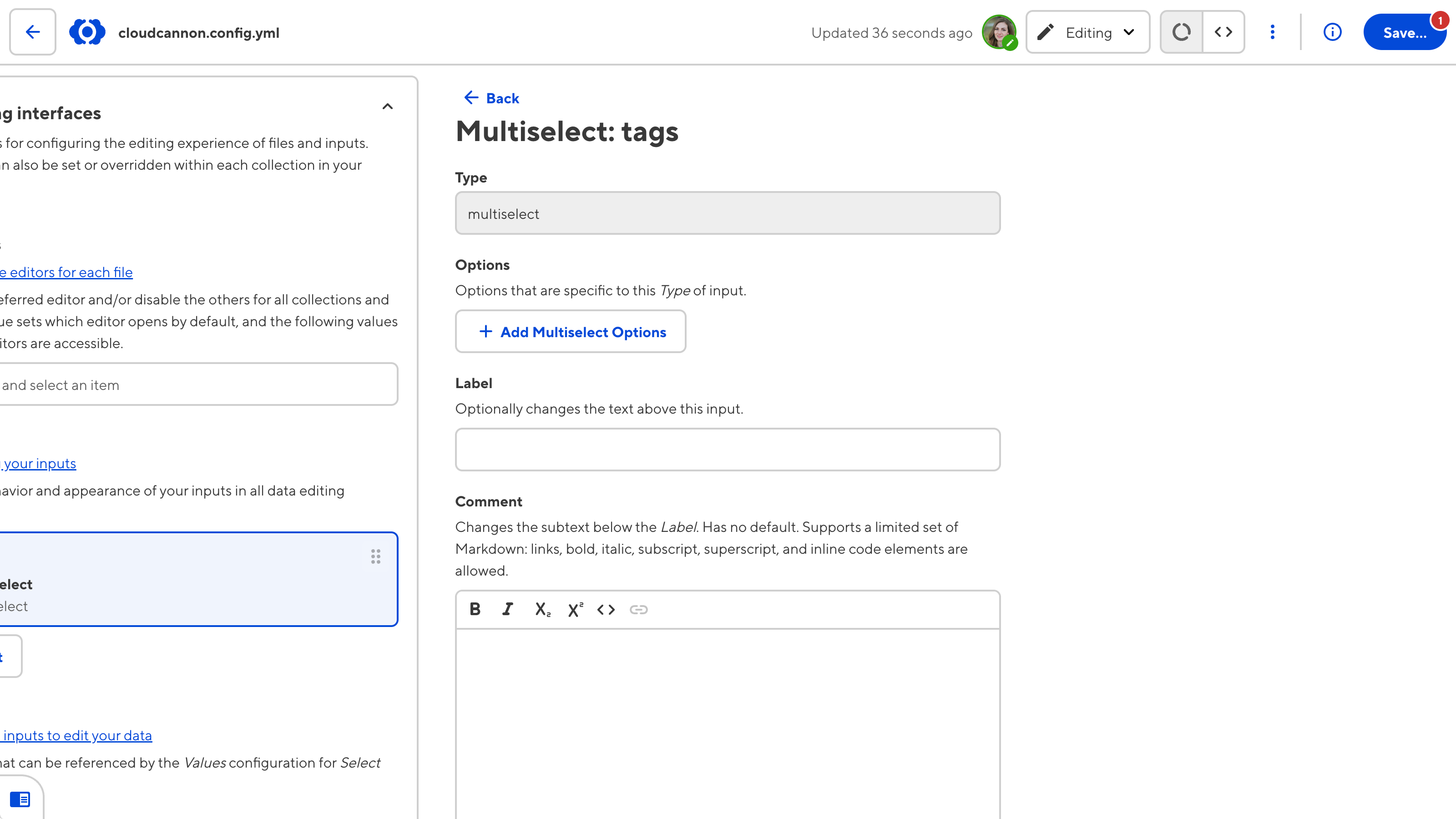 A screenshot of the CloudCannon configuration file open in the Data Editor shows the input configuration panel.