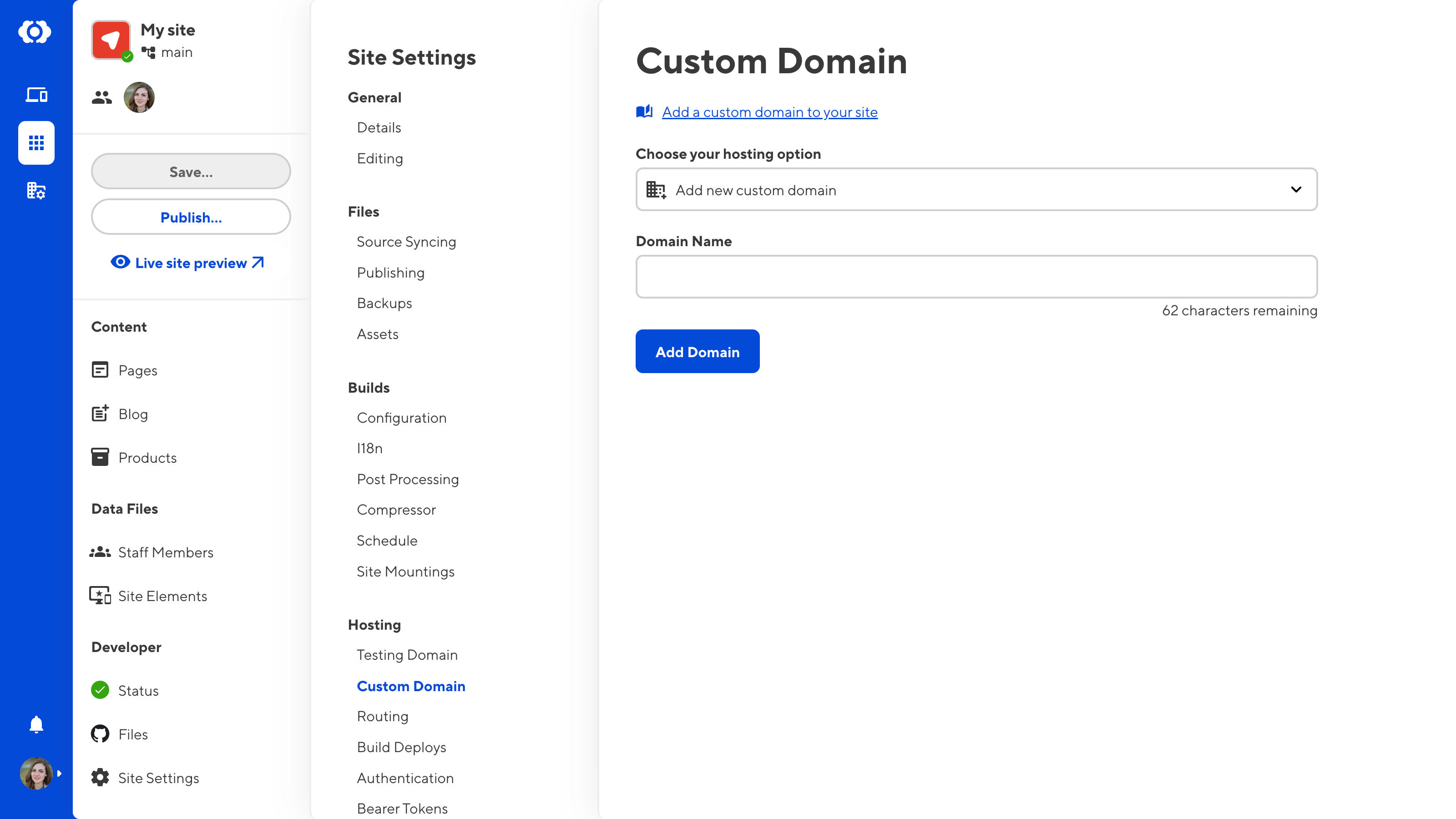 A screenshot of the Custom Domain page under Site Settings shows the Choose your hosting option dropdown and a Domain name text field.