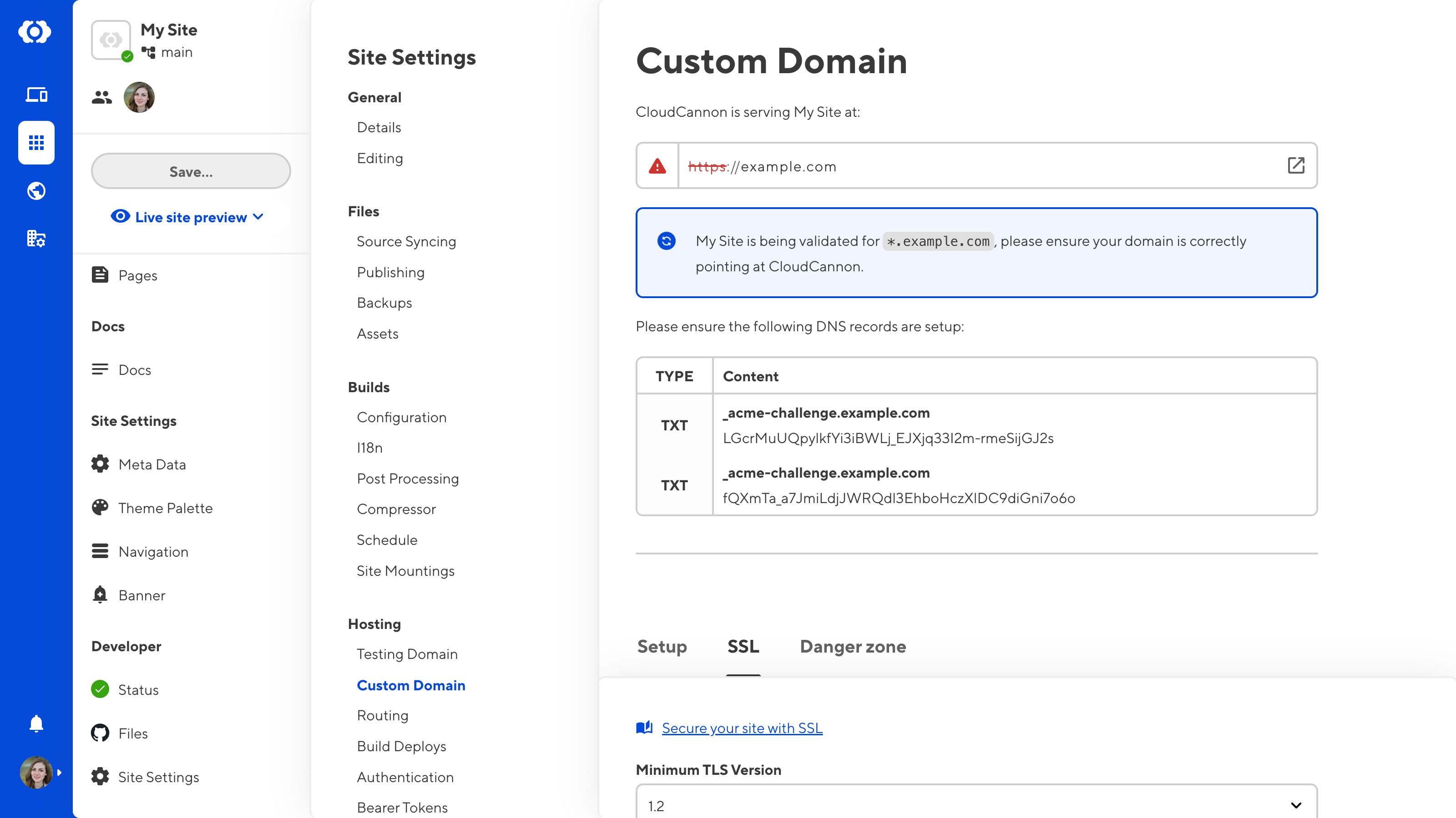 A screenshot of the Custom Domain page shows two TXT records for your external DNS provider.