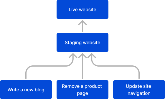 A diagram of a branching workflow shows three project branches publish to the Staging Branch, which publishes to the Live Website branch.