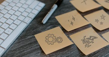 How users like The New Dynamic help CloudCannon iterate and improve